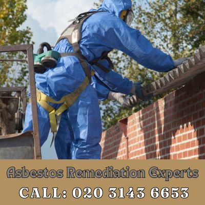 Asbestos Remediation Experts Acton